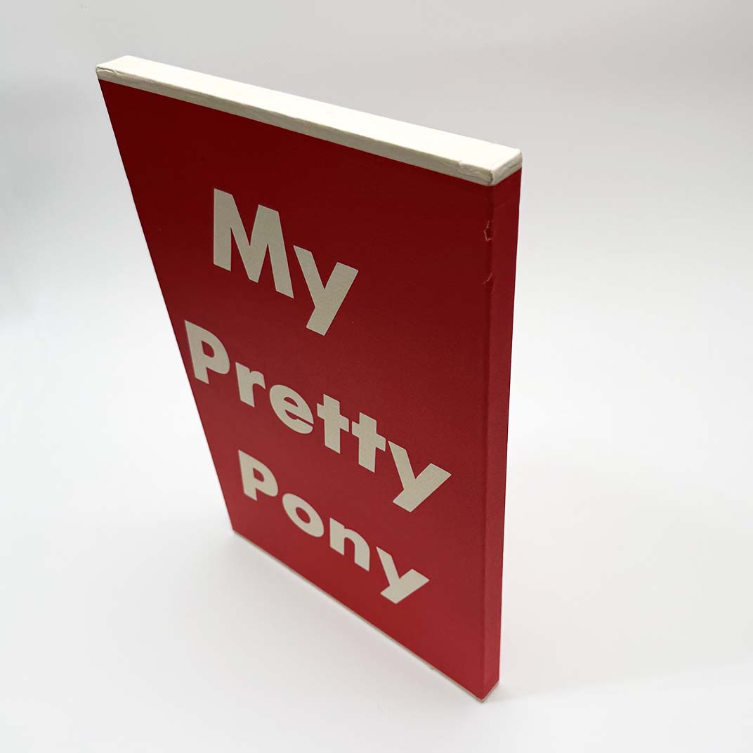 My Pretty Pony