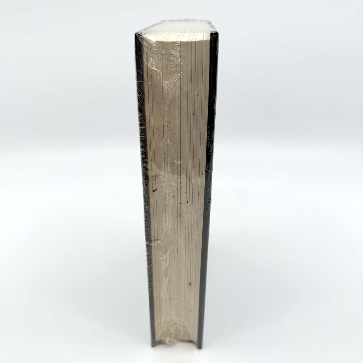 DT6 - Song of Susannah - Artist Edition, second copy