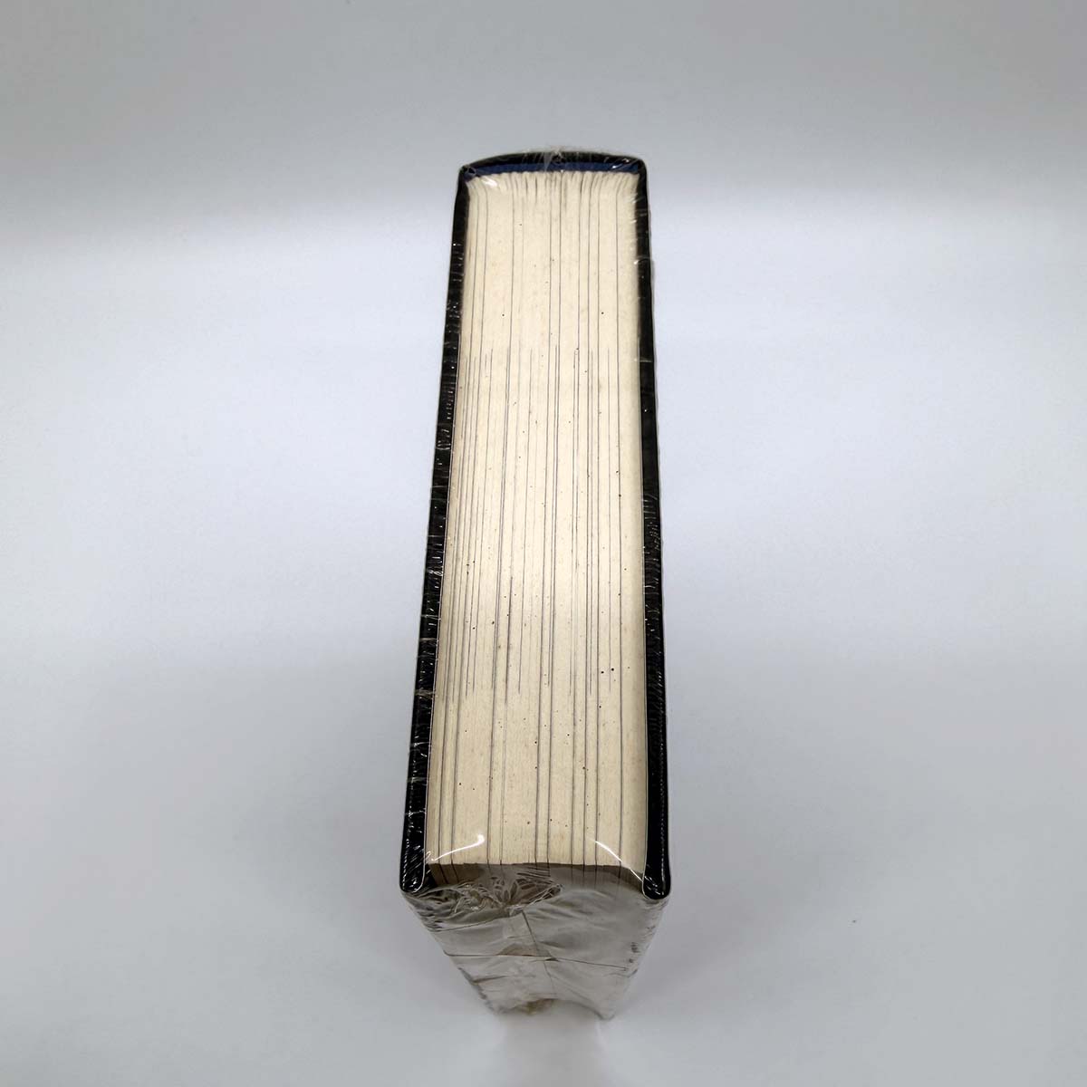 DT6 - Song of Susannah - Artist Edition, second copy