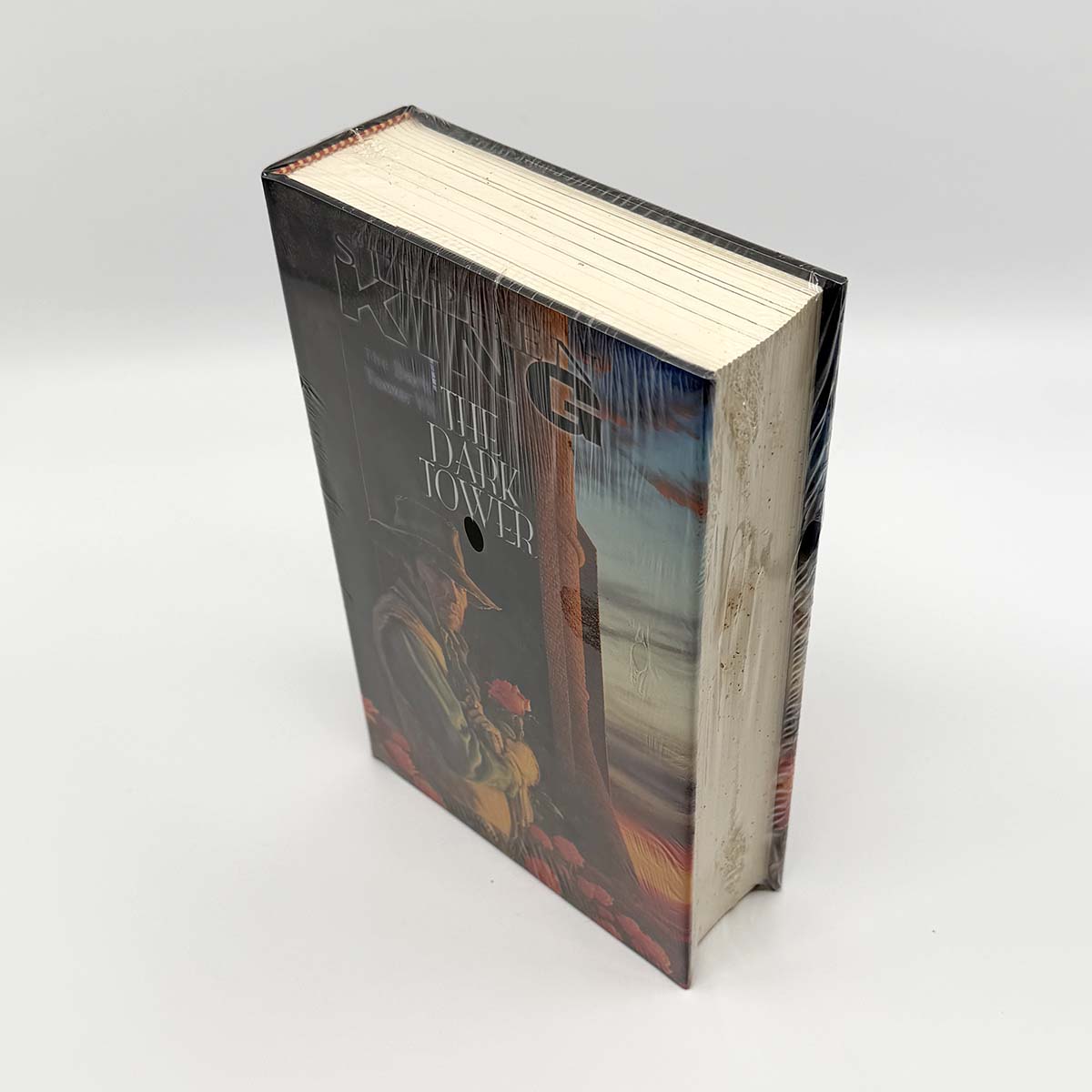 DT7 - The Dark Tower - Artist Edition - foxing